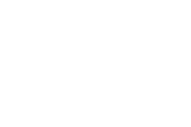 প্রাক্তন স্বামী জেসন আলেকজান্ডার গেটক্র্যাশের পর ব্রিটনি স্পিয়ার্স স্যাম আসগরীকে বিয়ে করেন