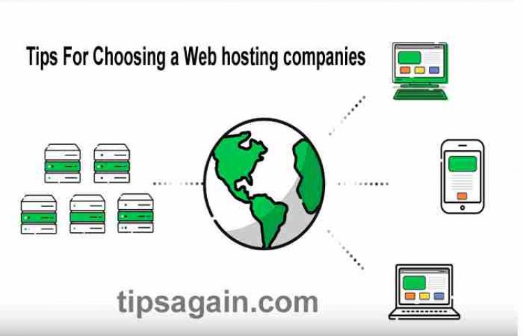 Tips For Choosing a Web hosting companies