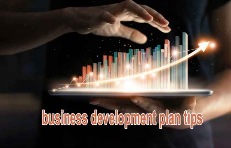 business development plan tips
