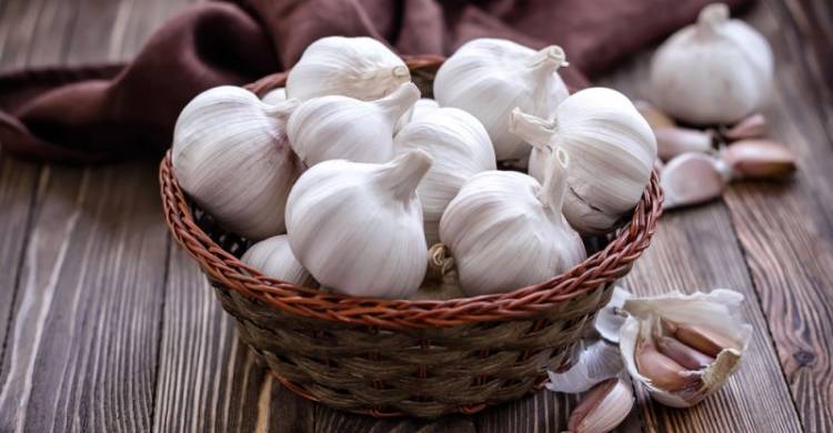 Garlic benifit of male and female Sexual Health