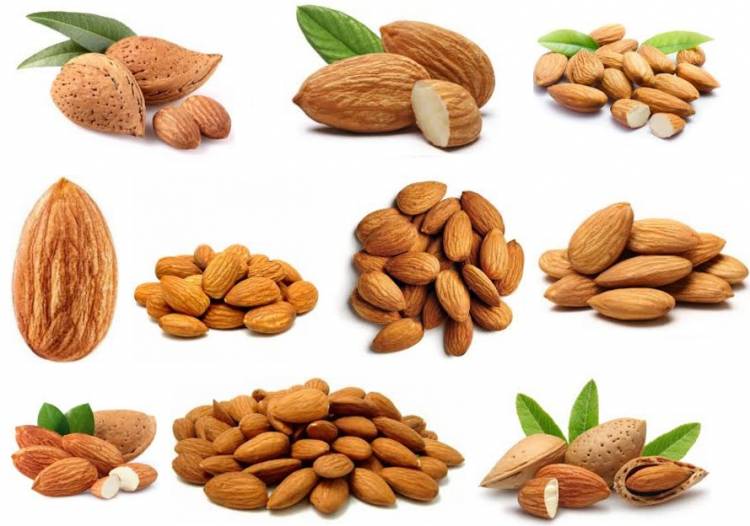 Almonds foods Health and Beauty Benefits