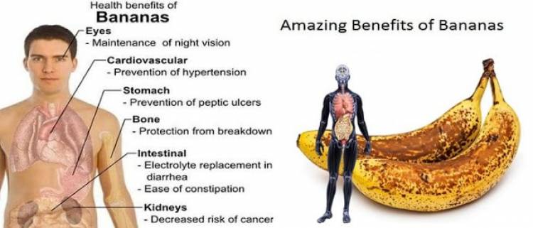 many People also ask viral media blog Bananas Health Benefits