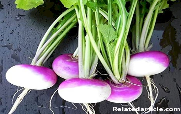 Benefits Of Turnips And Side Effects